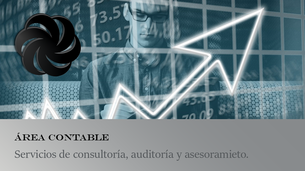 Servicios de contabilidad y gestión tributaria